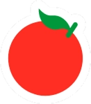 shape