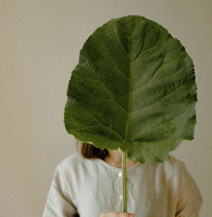 Design for Caramba